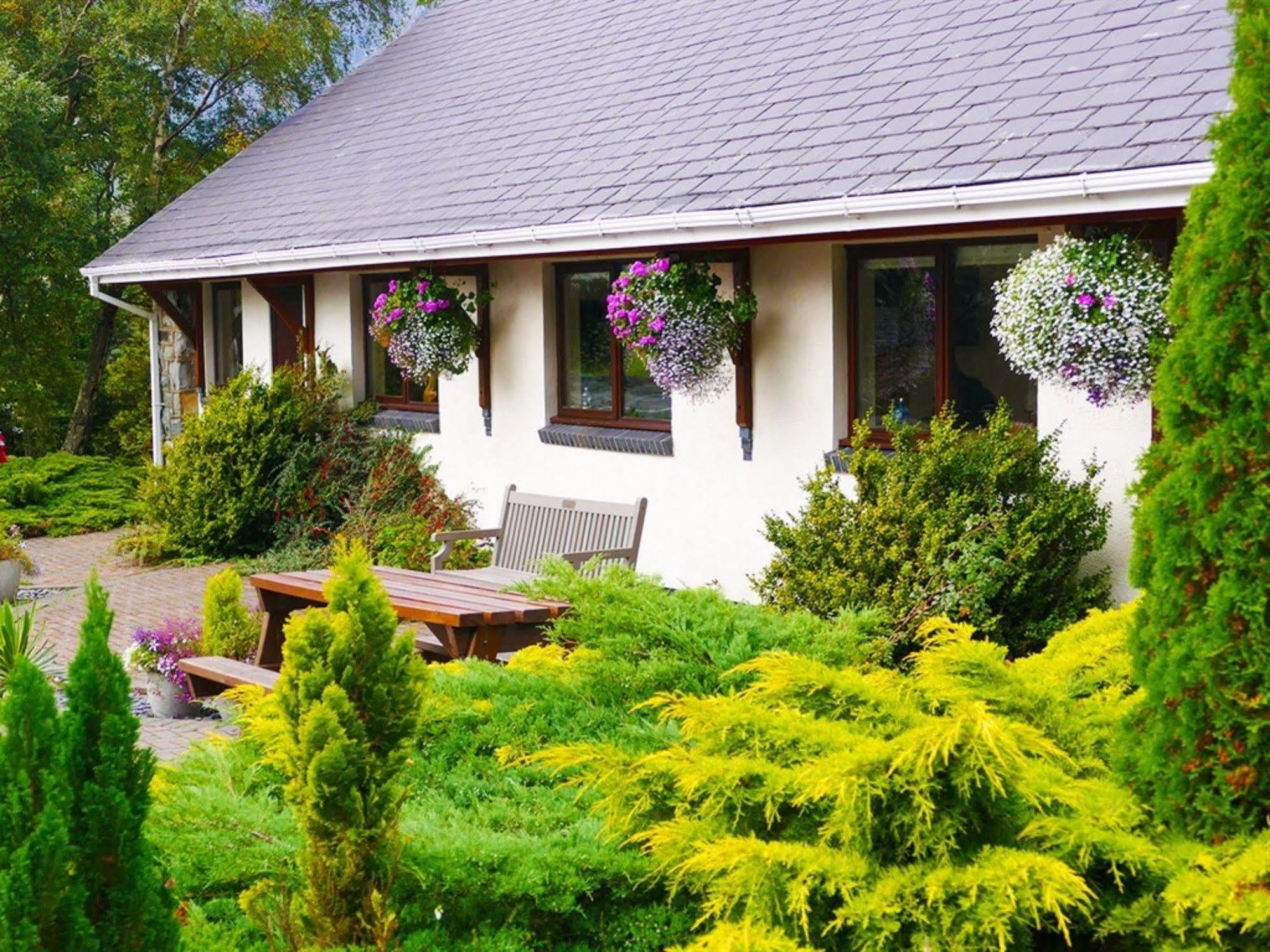 Snowdonia Mountain Lodge *
